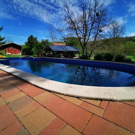 Katica Vendeghaz - Ladybird