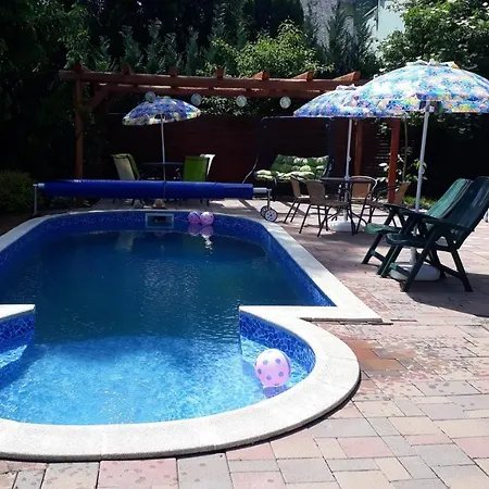 Katica Vendeghaz - Ladybird