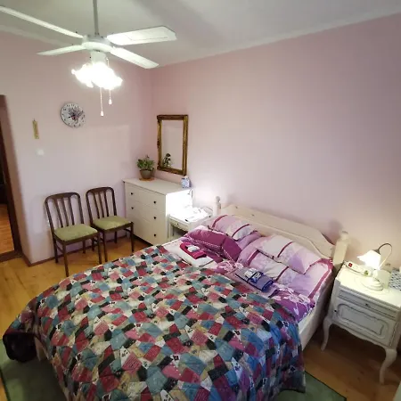 Katica Vendeghaz - Ladybird *