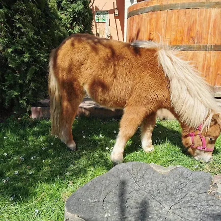 Katica Vendeghaz - Ladybird بيت للعطل