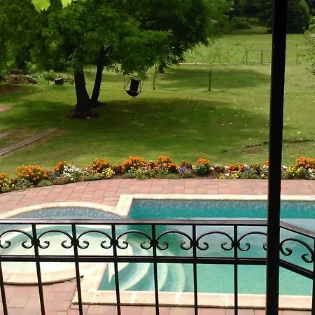 Katica Vendeghaz - Ladybird *