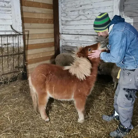 بيت للعطل Katica Vendeghaz - Ladybird Somogyvár