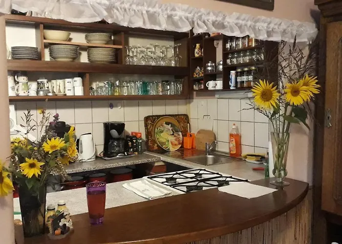 Katica Vendeghaz - Ladybird * Somogyvár