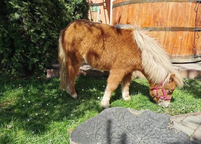 Katica - Ladybird Casa de Férias