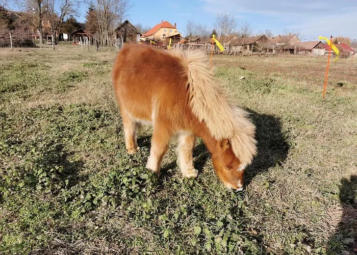 Casa de Férias Katica - Ladybird *