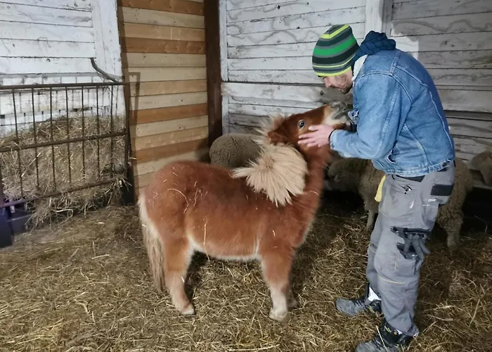 בית נופש Katica Vendeghaz - Ladybird Somogyvár