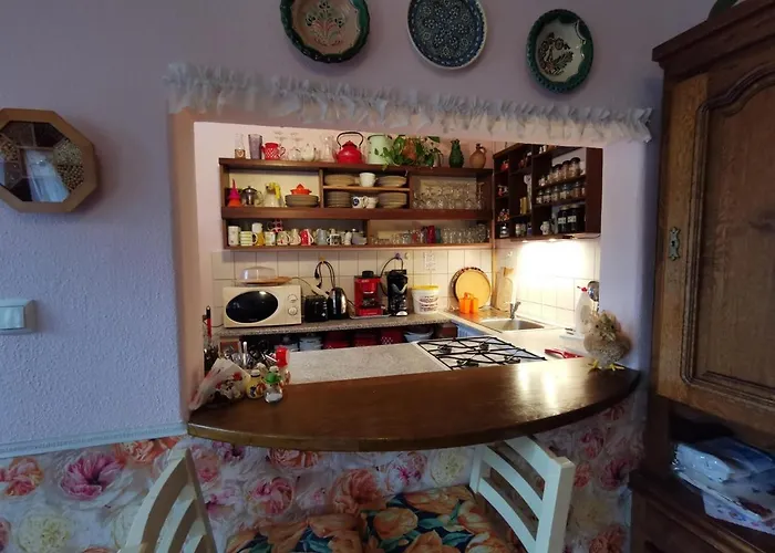 Katica Vendeghaz - Ladybird *