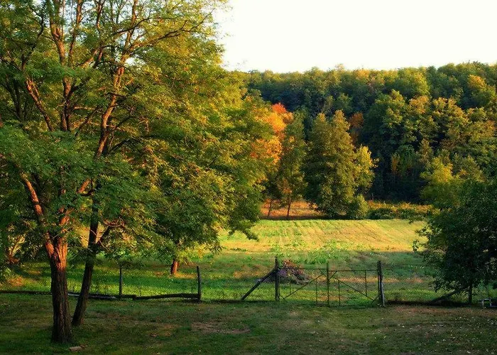 בית נופש Katica Vendeghaz - Ladybird Somogyvár